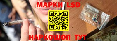 спайс Гагарин