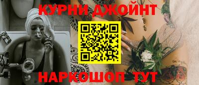 шишки Гай