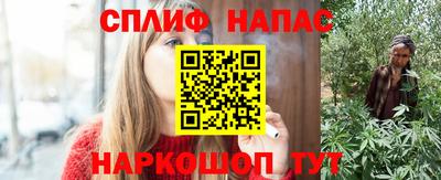 спайс Гагарин