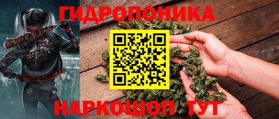 спайс Гагарин