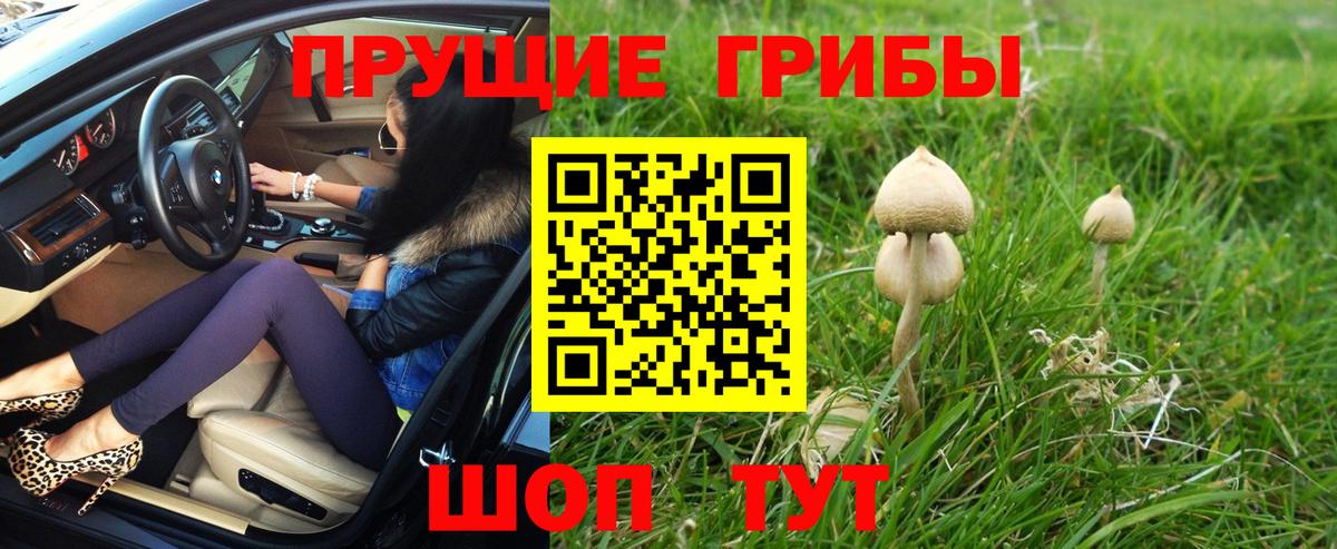 Галлюциногенные грибы MAGIC MUSHROOMS Наро-Фоминск
